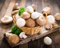 Peut-on congeler des champignons ?