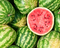 “Avec les années, j’ai appris…” : cette primeur MOF livre ses astuces pour choisir la pastèque parfaite