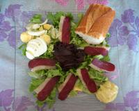 Salade, oeuf dur, oignon confit, tomate, canard.