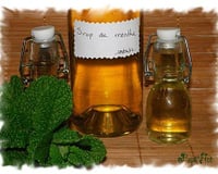 Sirop de Menthe maison