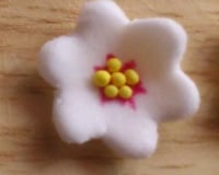 Fleurs de cerisier en pâte à sucre