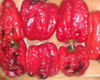 Facile à préparer, les poivrons rouges farcis au riz et délicatement parfumés au piment de Jamaïque offrent un plat complet végétarien délicieux.