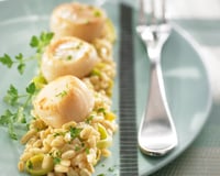 Ebly aux saint jacques et au poireau