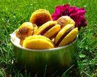 Des macarons au chocolat au lait et fruits de la passion, une alliance magique qui fait frémir les papilles. C'est d'ailleurs un délicieux parfum que l'on…