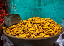 Curcuma