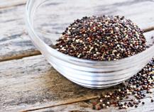 Quinoa