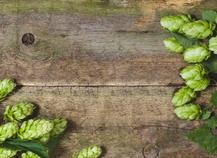 Houblon