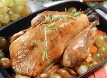 Pintade