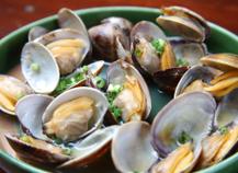 Clam