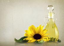 Huile de tournesol