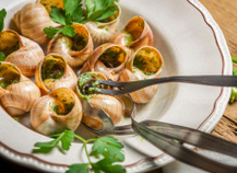 Recettes escargots