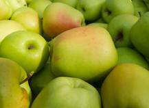 Pomme du Limousin
