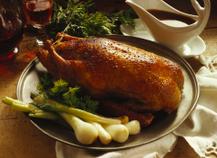 Canard