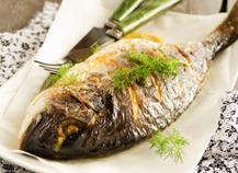 dorade