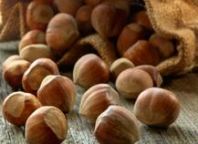 Noisette