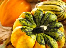 Courge
