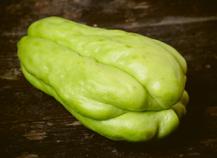 Chayote