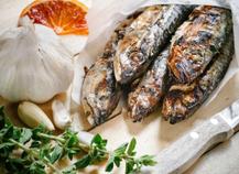 sardines