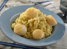 risotto aux Saint-Jacques