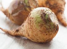 Rutabaga