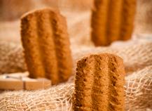 Spéculoos
