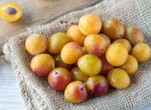 Mirabelle