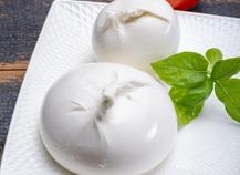 Burrata