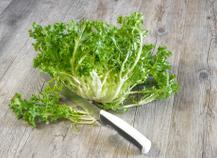 Salade frisée