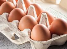 Toutes les recettes à base d'œufs