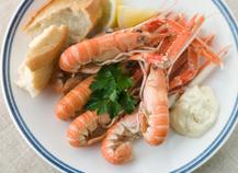 langoustines