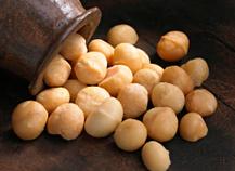 Noix de macadamia