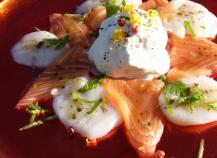 Toutes nos recettes de carpaccio de Saint-Jacques