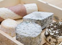 fromage de chèvre