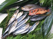 poissons