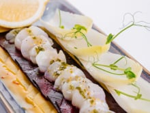 Carpaccio de St Jacques