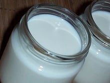 Yaourts à l'érable