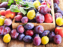 Prunes : un cancérologue détaille les bienfaits exceptionnels de ce fruit