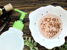 Moucherons dans la cuisine : le piège maison hyper simple à préparer avec 3 ingrédients