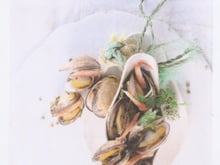 Coquillages en Grands Coraya