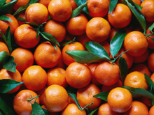 Cette raison improbable explique pourquoi certaines clémentines ont des pépins et d’autres non