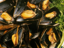 Mouclade de l'Aiguillon