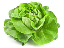 Comment conserver la salade ?