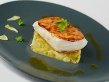 Pavés de cabillaud de Norvège en robe de lome et endives à l'orange