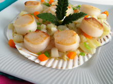Noix de coquilles St Jacques, étuvée de légumes