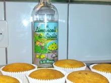 Cup-cakes limoncello et graines de pavot