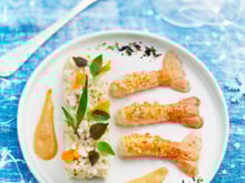 Risotto au champagne et langoustines
