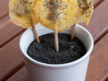 Sucettes de thon à l'estragon