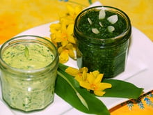 Pesto et beurre à l'ail des Ours