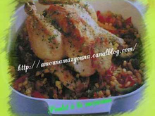 Poulet à la mexicaine