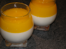 Panna cotta aux spéculoos et son coulis de mangue